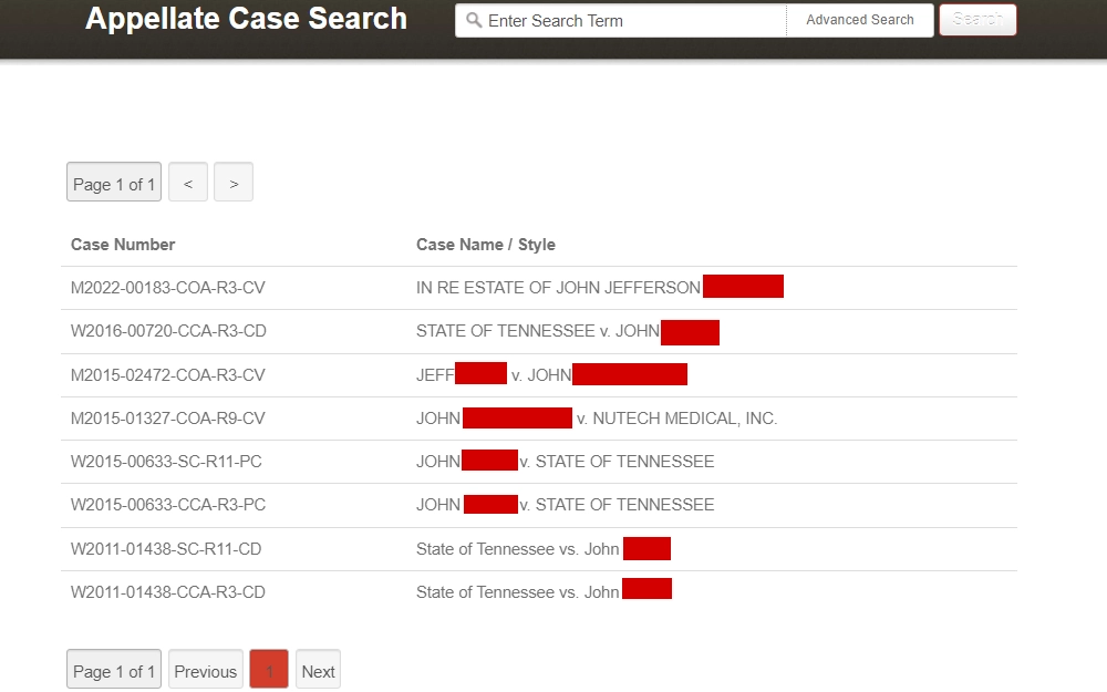 A screenshot of Appellate Case Search results from the Tennessee Courts page displays a list of cases, including case no. and party name.